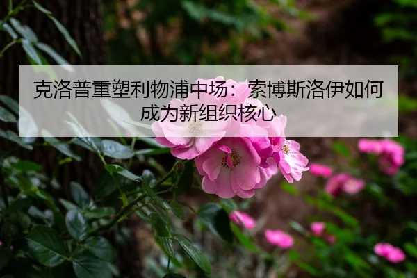ke-luo-pu-zhong-su-li-wu-pu-zhong-chang-suo-bo-si-luo-yi-ru-he-cheng-wei-xin-zu-zhi-he-xin-3-173.jpg