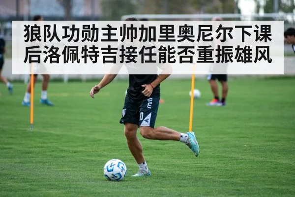 狼队功勋主帅加里奥尼尔下课后洛佩特吉接任能否重振雄风
