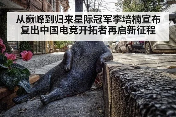 从巅峰到归来星际冠军李培楠宣布复出中国电竞开拓者再启新征程
