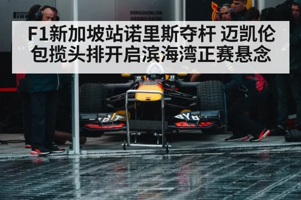 Formula 1 pit stop crew